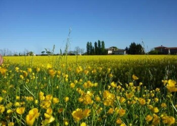 jesolo in bicicletta
