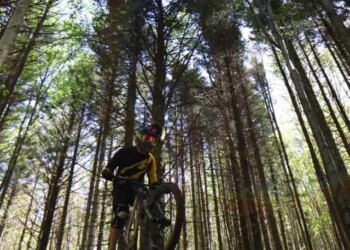 mtb in toscana