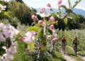 bolzano in bicicletta