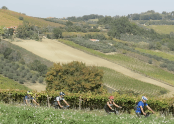 Questo itinerario non ha salite "impossibili, tanto pil se sei in sella a una e-bike