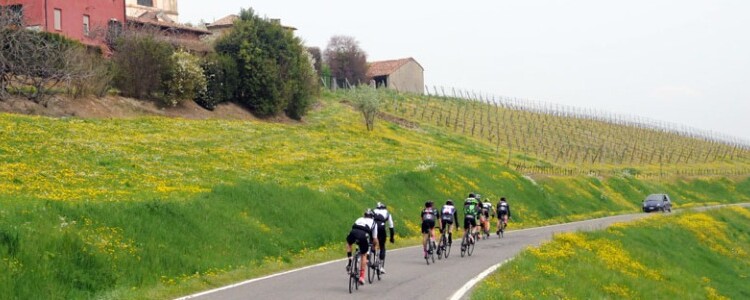 carpaneto piacentino mauro veneziani