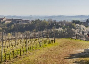 Ciclo Cavalcata Aleramica