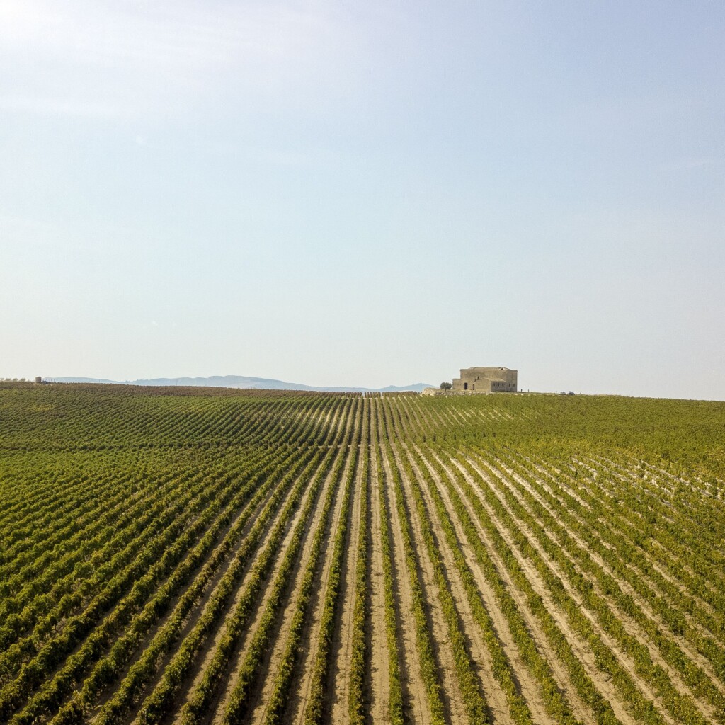 Scopri un affascinante percorso ciclabile tra Bagheria, Aspra e Casteldaccia con visita alle Cantine Duca di Salaparuta - tenuta Duca di Salaparuta - © Benedetto Tarantino-2