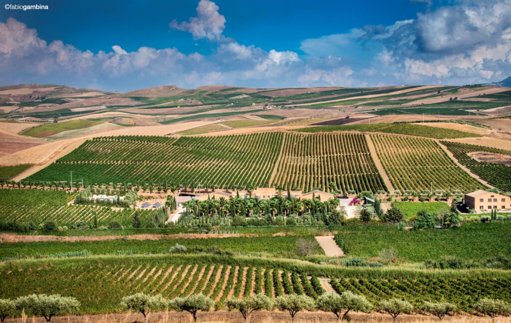 Sicilia a pedali - cantina Donnafugata - ph. Fabio Gambina
