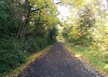 ciclovia dei Boschi di Carrega