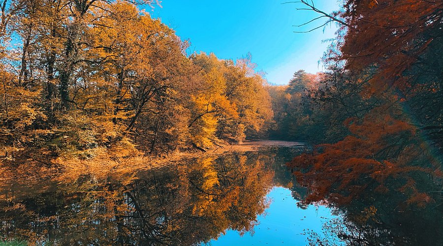 ciclovia dei Boschi di Carrega - foliage
