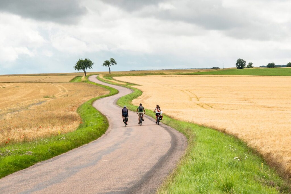 BICISTAFFETTA FIAB 2025 - credit AEV Associazione Europea Vie Francigene 