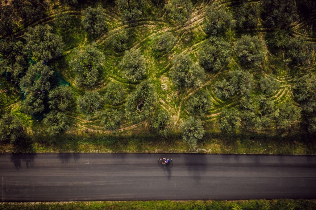 pedalate - Frantoi aperti in Umbria 2025_- Grande Pedalata Fascia Olivata 