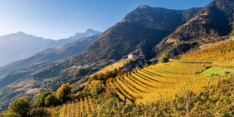 tirolo in bicicletta - panorama Castel Tirolo