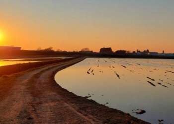 via delle risaie - tramonto in lomellina
