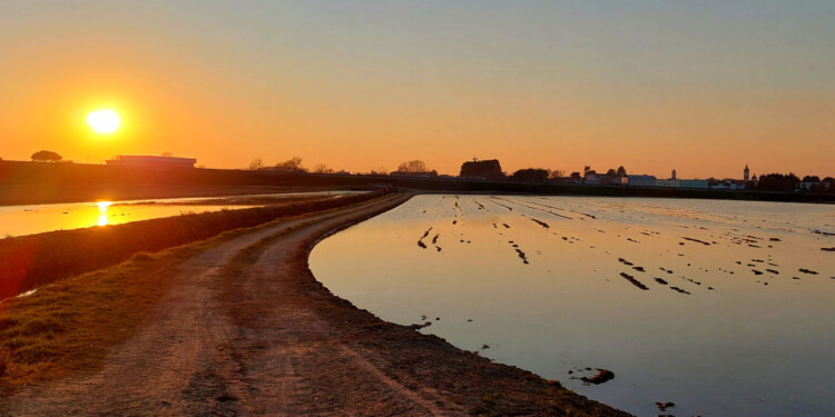 via delle risaie - tramonto in lomellina