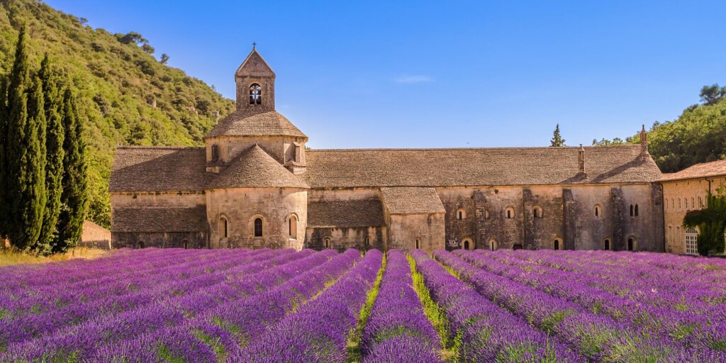 Route de la Lavande - abbazia di Notre-Dame de Sénanque