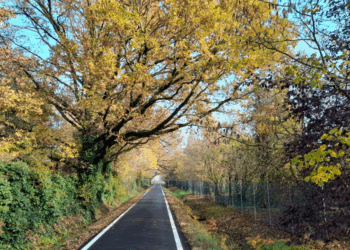romanico in bicicletta - foto Staff Visit Modena