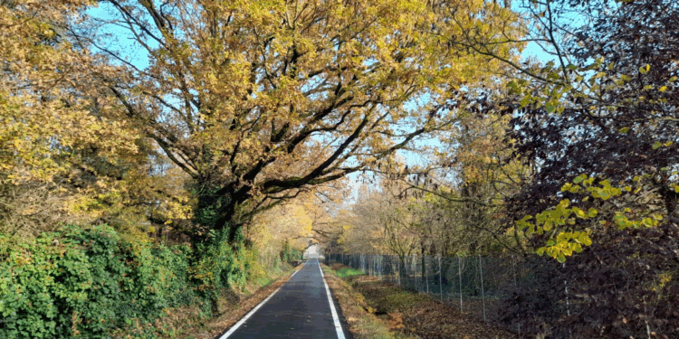 romanico in bicicletta - foto Staff Visit Modena
