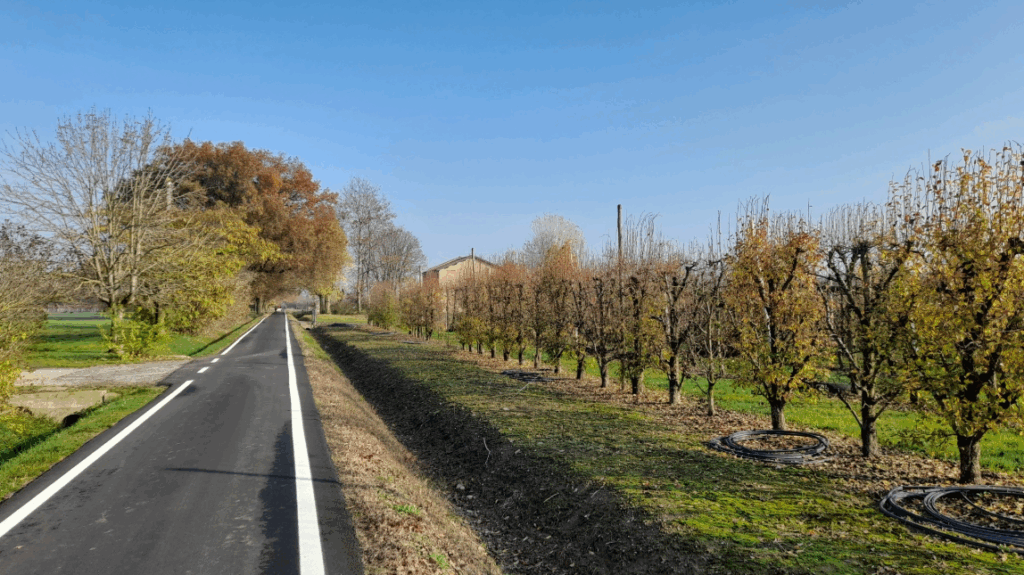romanico in bicicletta - foto Staff Visit Modena