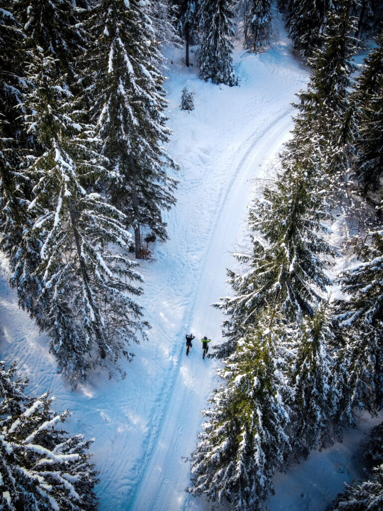 Pedalare in Val Saisera - Foto Nicola Brollo