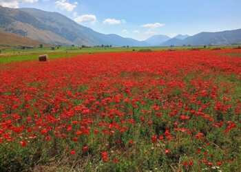 Cammino Medievale Molise