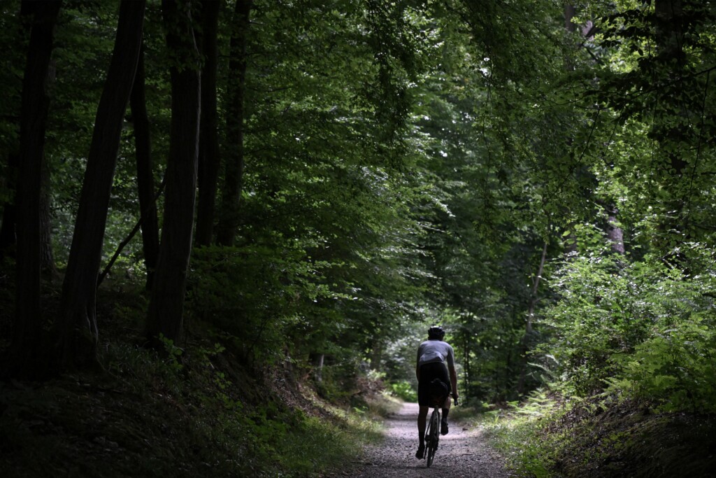 Ultimate Flanders 525 Sonian forest (c) Grinta!