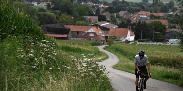 Ultimate Flanders 525 (c) Grinta!