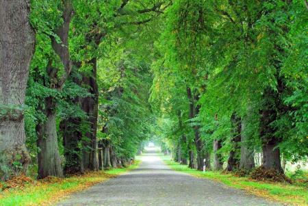 Strada degli Asparagi del Baden