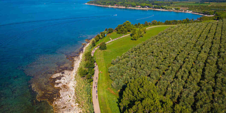 NOVA Eroica Istria Copyright: © 2025 STUDIO11