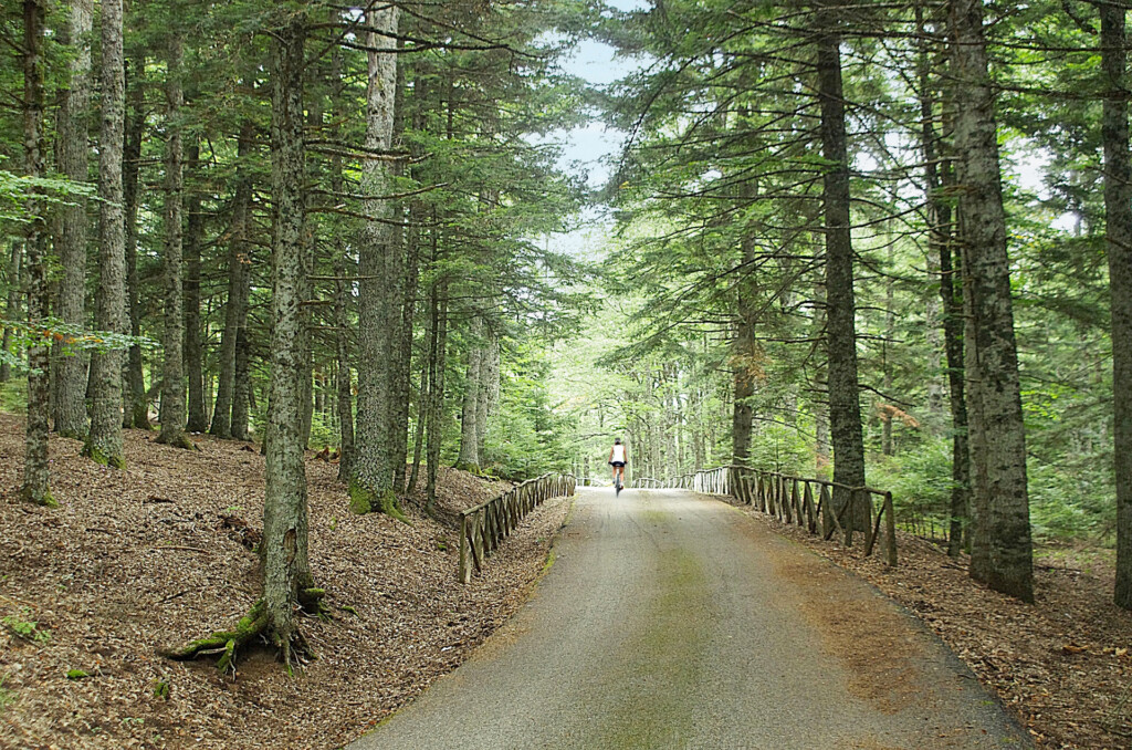 Ciclovia Meridiana - Abetina Laurenzana
