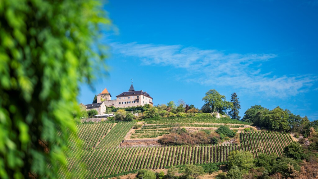 Strada degli Asparagi del Baden