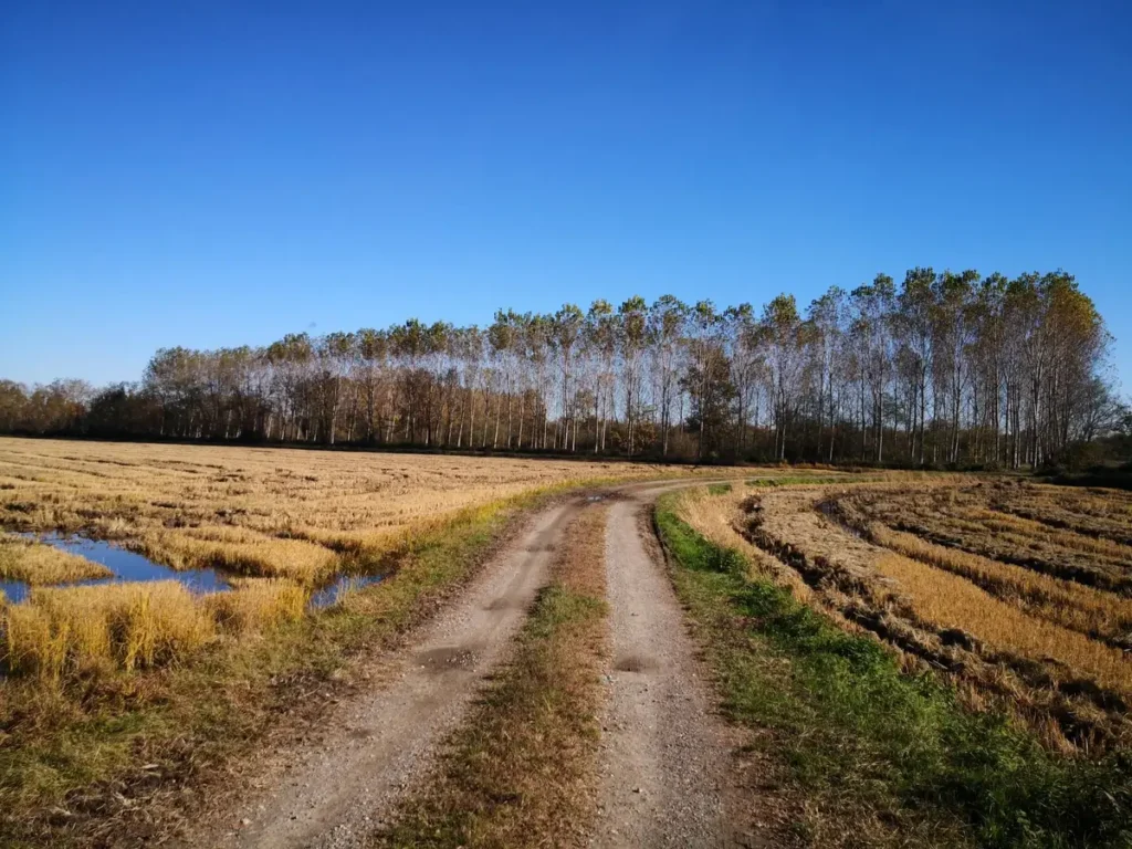 lomellina - itinerario dell’oca in bici